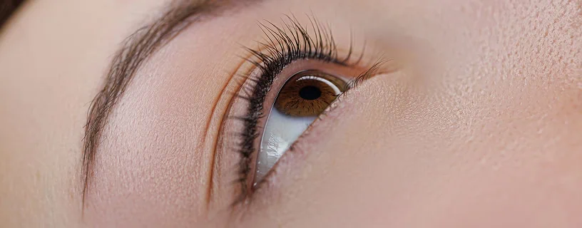 Dieses Bild zeigt eine Detailaufnahme eines eleganten und präzise gezogenen Permanent Lidstrichs am oberen Lidrand.